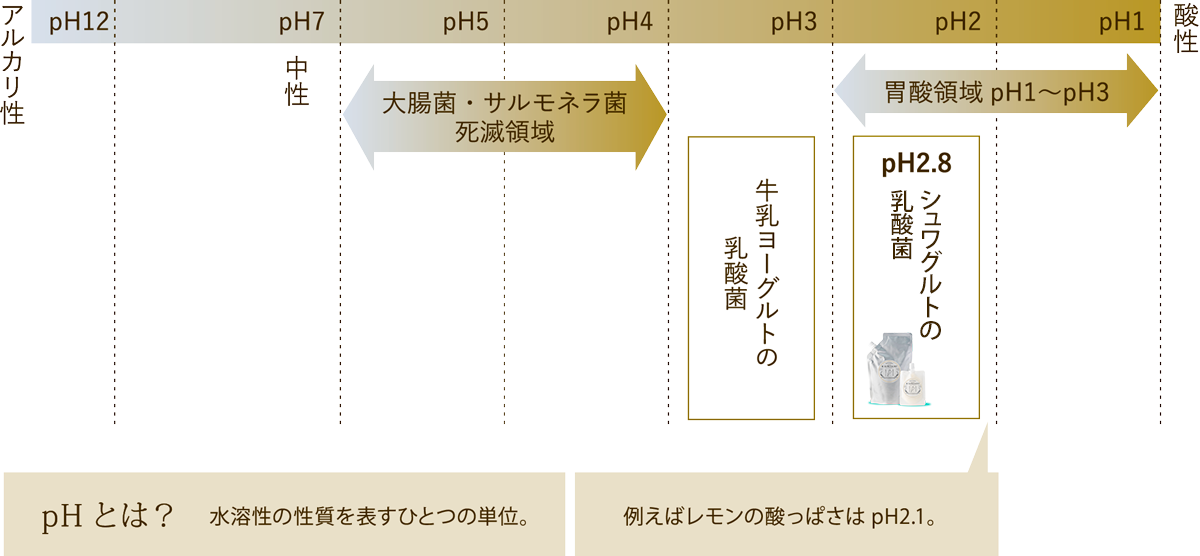なんと！pH2.8の超強力な乳酸菌